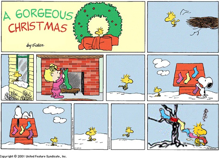 woodstock socks slide